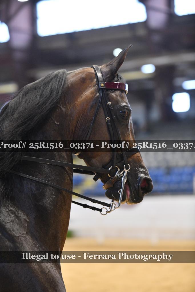 Proof Number 25R1516_03371