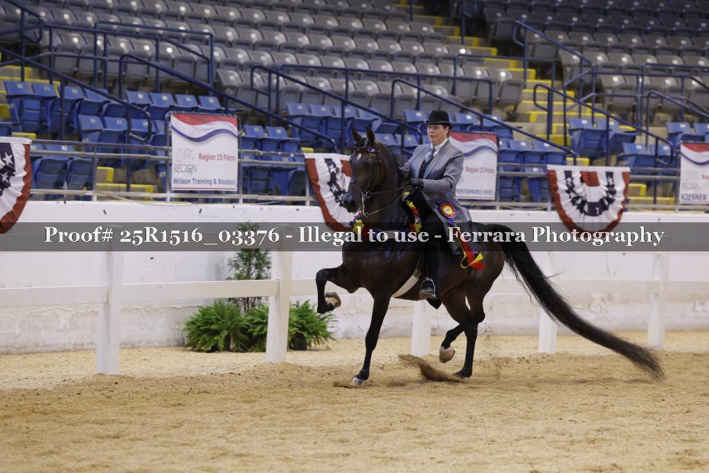 Proof Number 25R1516_03376