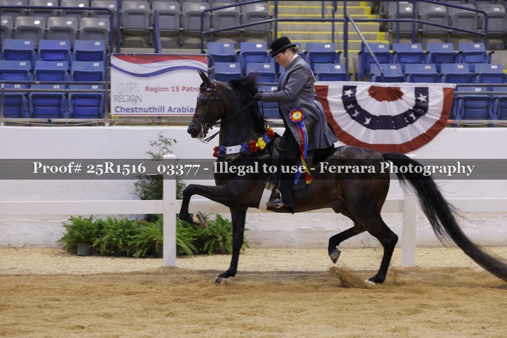 Proof Number 25R1516_03377