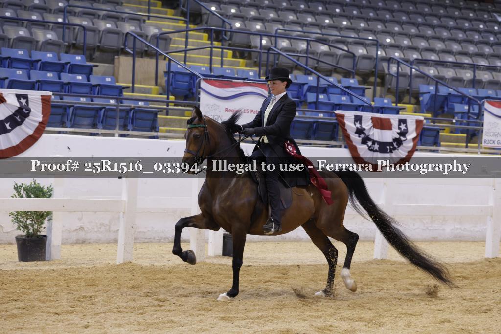 Proof Number 25R1516_03394