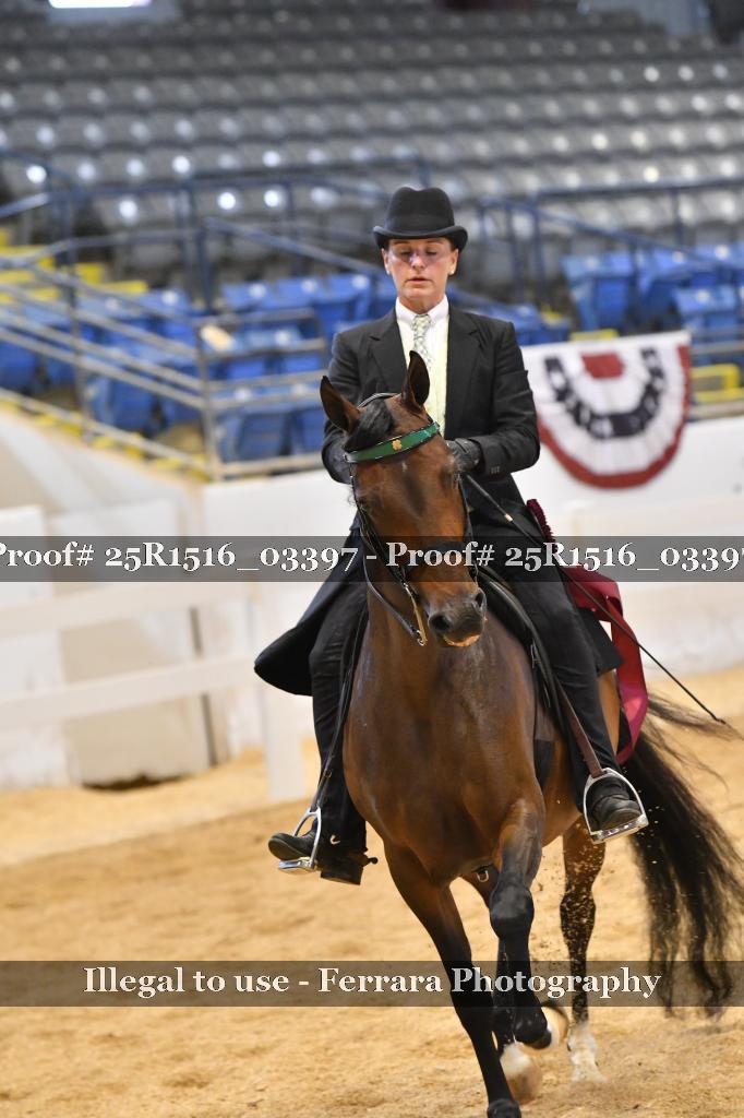 Proof Number 25R1516_03397