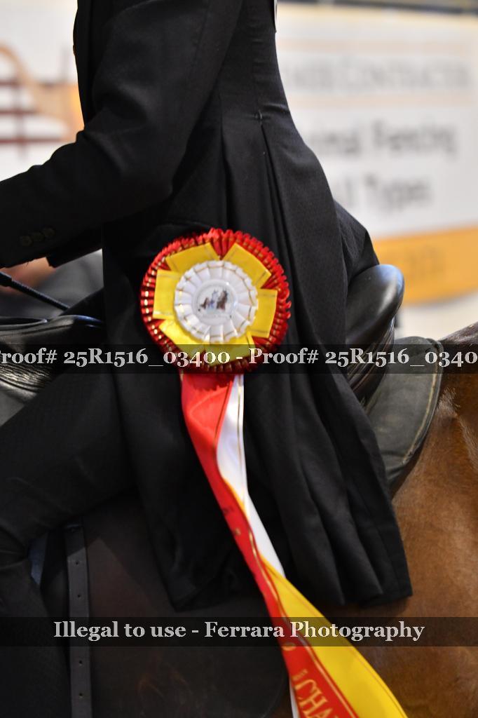 Proof Number 25R1516_03400