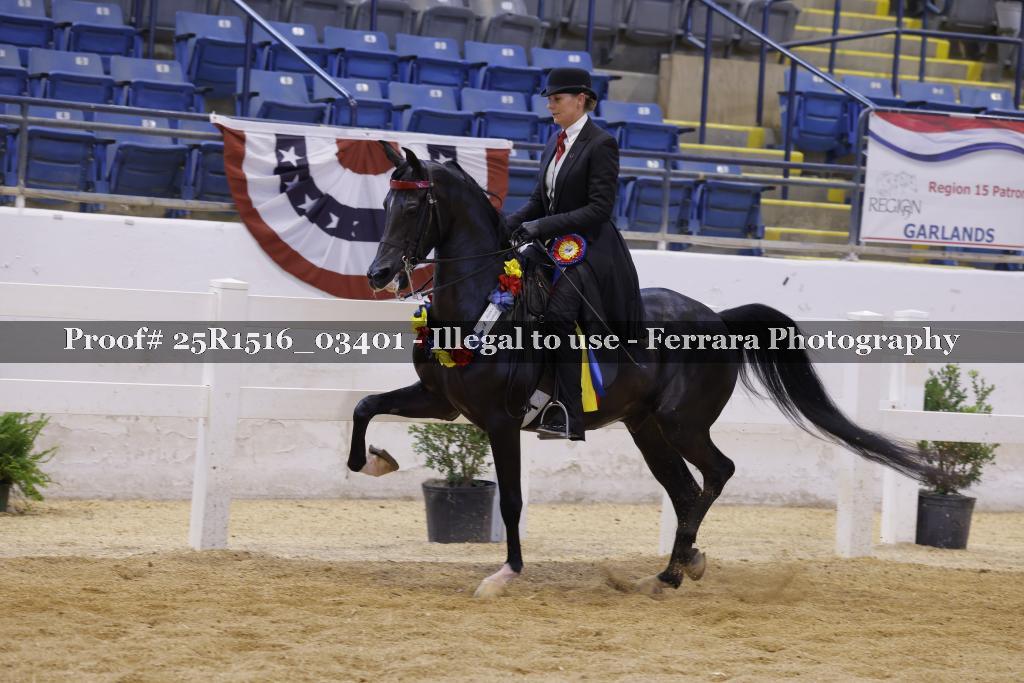 Proof Number 25R1516_03401