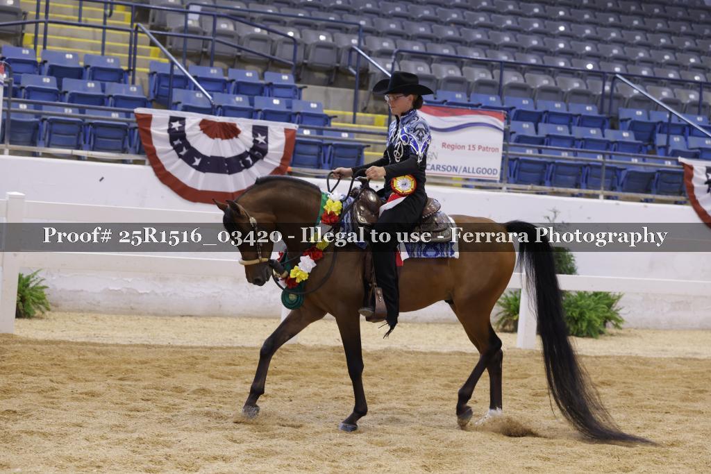 Proof Number 25R1516_03420