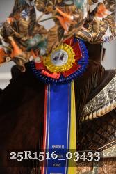 25R1516_03433 thumbnail