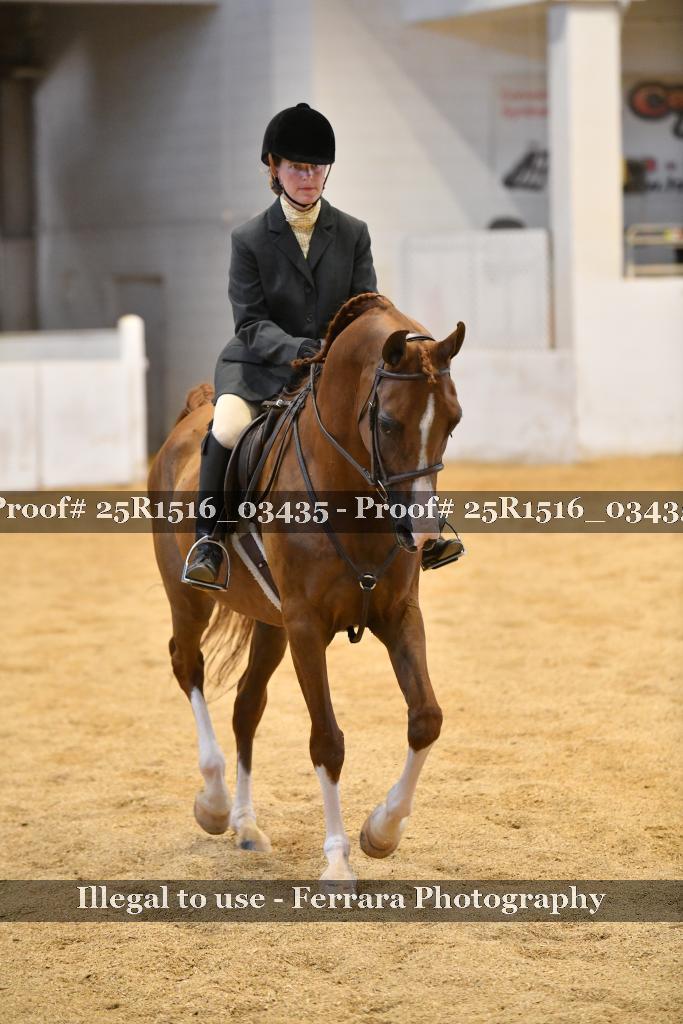 Proof Number 25R1516_03435