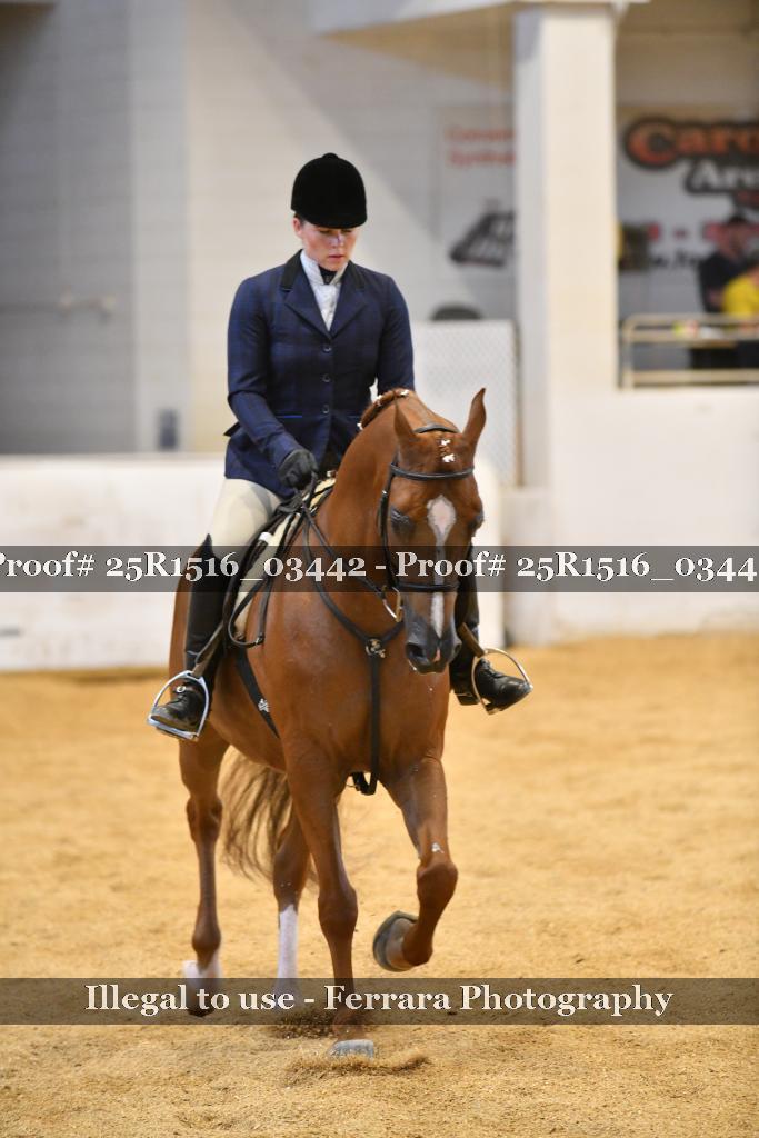 Proof Number 25R1516_03442