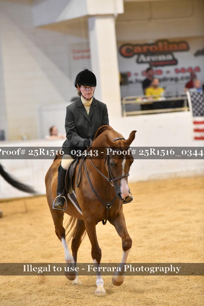 Proof Number 25R1516_03443