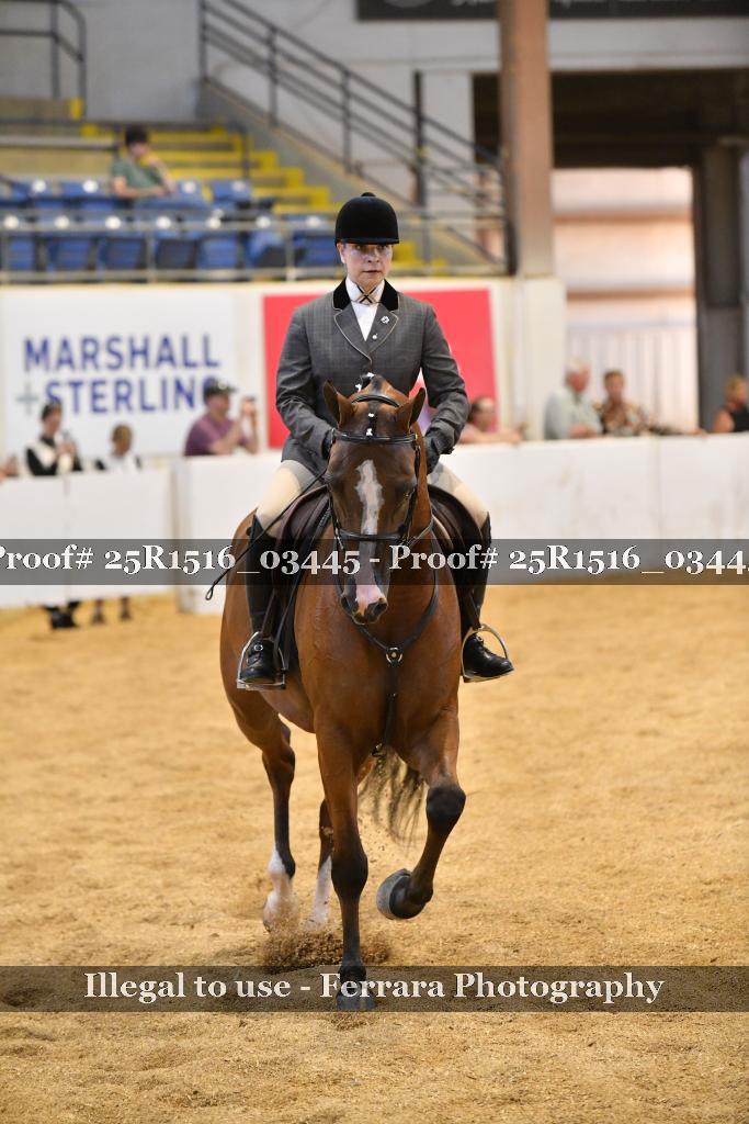 Proof Number 25R1516_03445