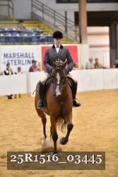 25R1516_03445 thumbnail