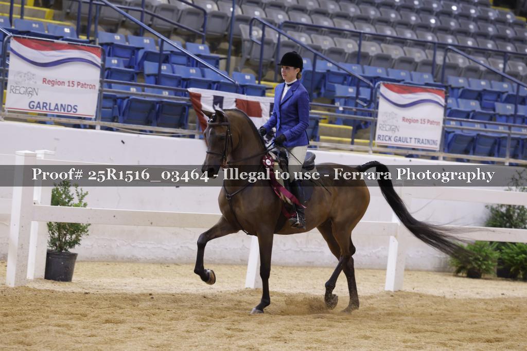 Proof Number 25R1516_03464