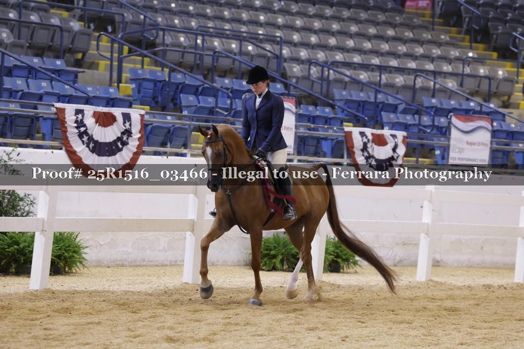 Proof Number 25R1516_03466