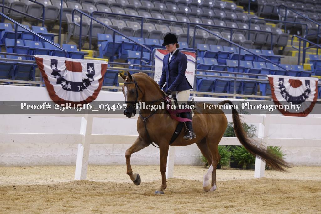 Proof Number 25R1516_03467