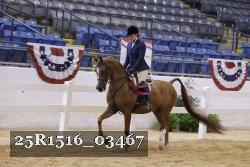 25R1516_03467 thumbnail