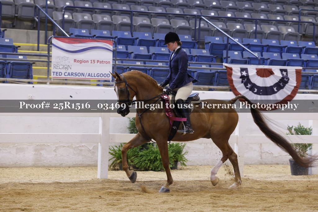 Proof Number 25R1516_03469