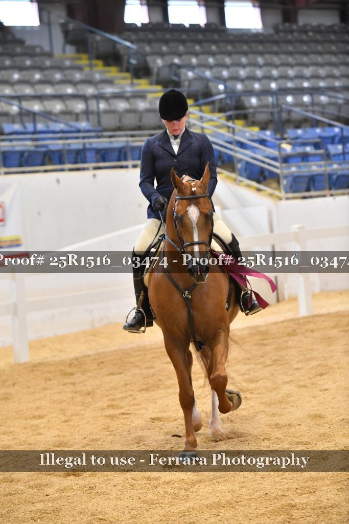 Proof Number 25R1516_03474