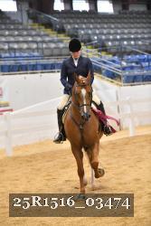 25R1516_03474 thumbnail