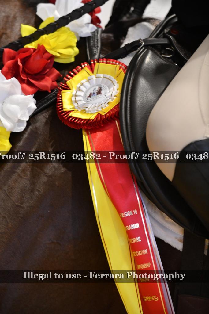 Proof Number 25R1516_03482