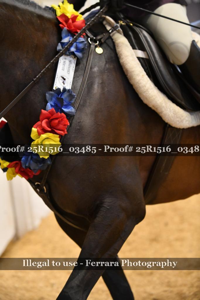 Proof Number 25R1516_03485