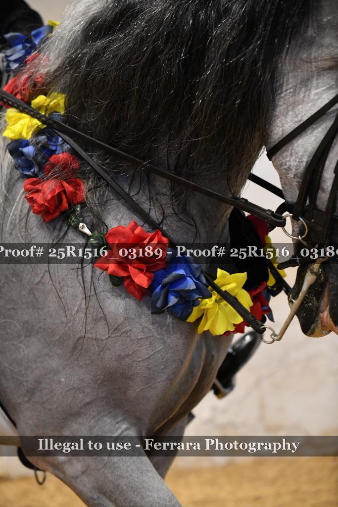 Proof Number 25R1516_03189