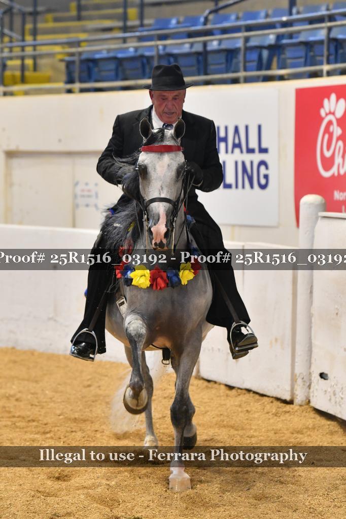 Proof Number 25R1516_03192