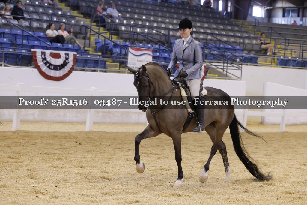 Proof Number 25R1516_03487