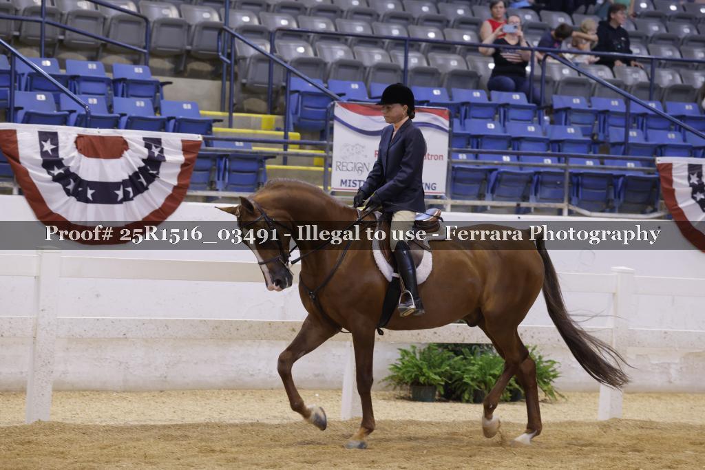 Proof Number 25R1516_03491