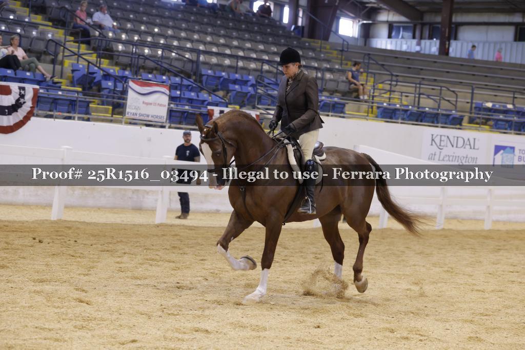 Proof Number 25R1516_03494