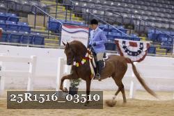 25R1516_03510 thumbnail