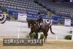 25R1516_03514 thumbnail
