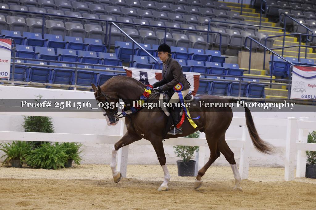Proof Number 25R1516_03515