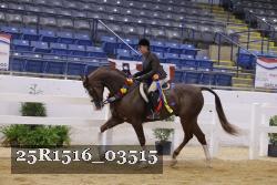 25R1516_03515 thumbnail