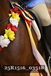 25R1516_03518 thumbnail