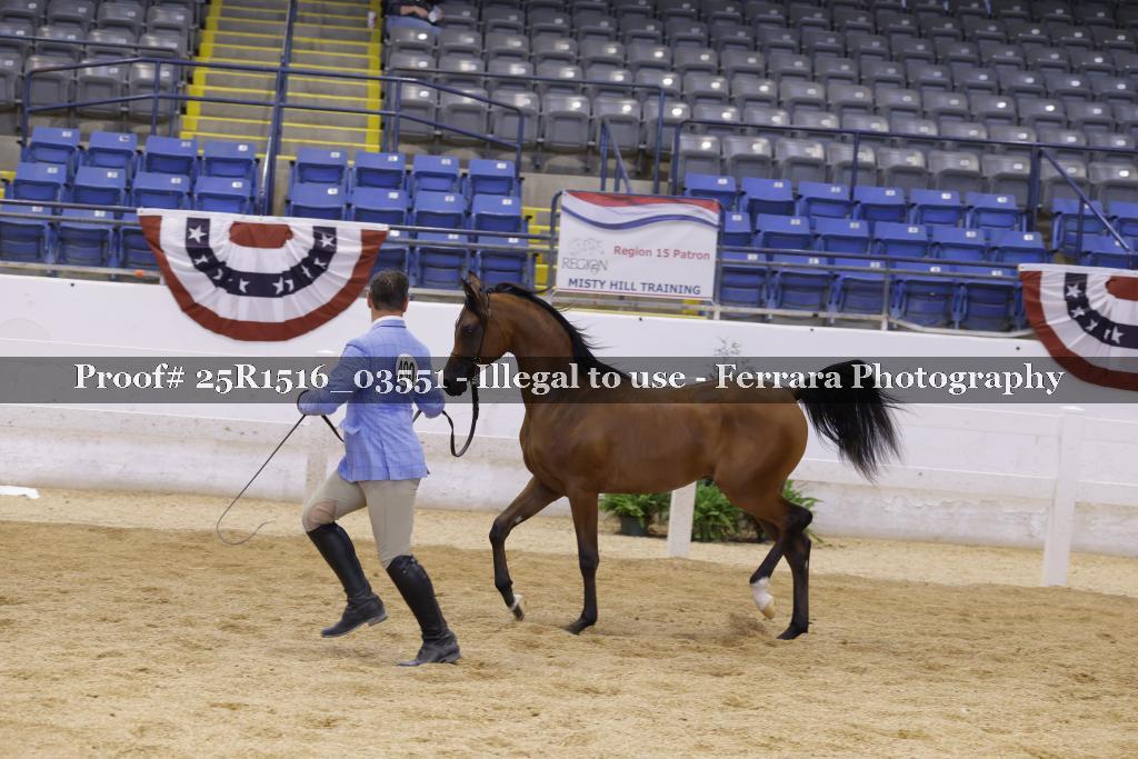 Proof Number 25R1516_03551