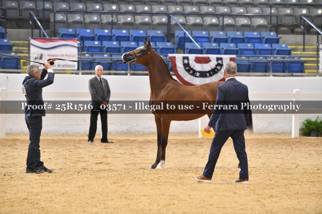 Proof Number 25R1516_03571