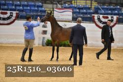 25R1516_03606 thumbnail