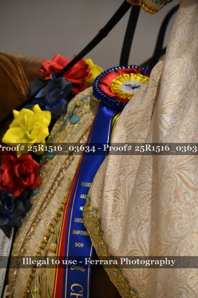 Proof Number 25R1516_03634