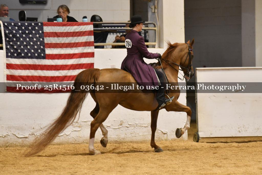Proof Number 25R1516_03642