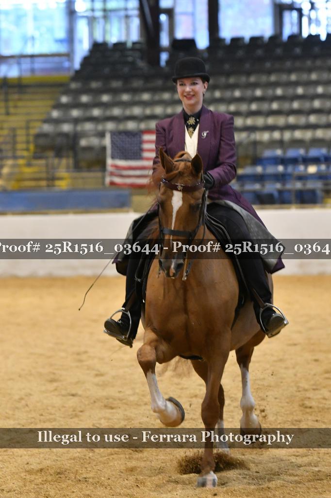 Proof Number 25R1516_03644