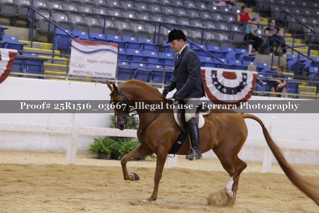 Proof Number 25R1516_03667
