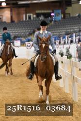 25R1516_03684 thumbnail