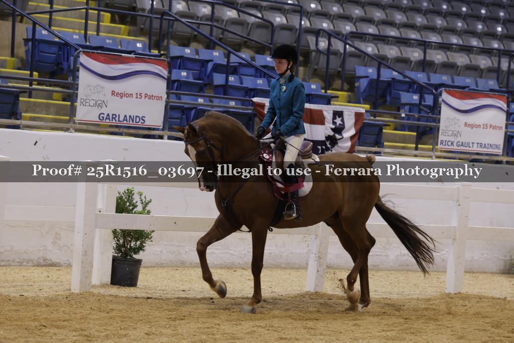 Proof Number 25R1516_03697