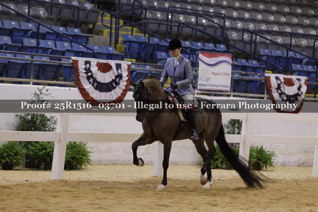 Proof Number 25R1516_03701