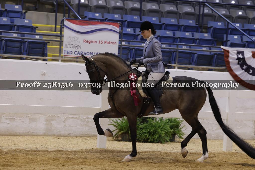 Proof Number 25R1516_03703
