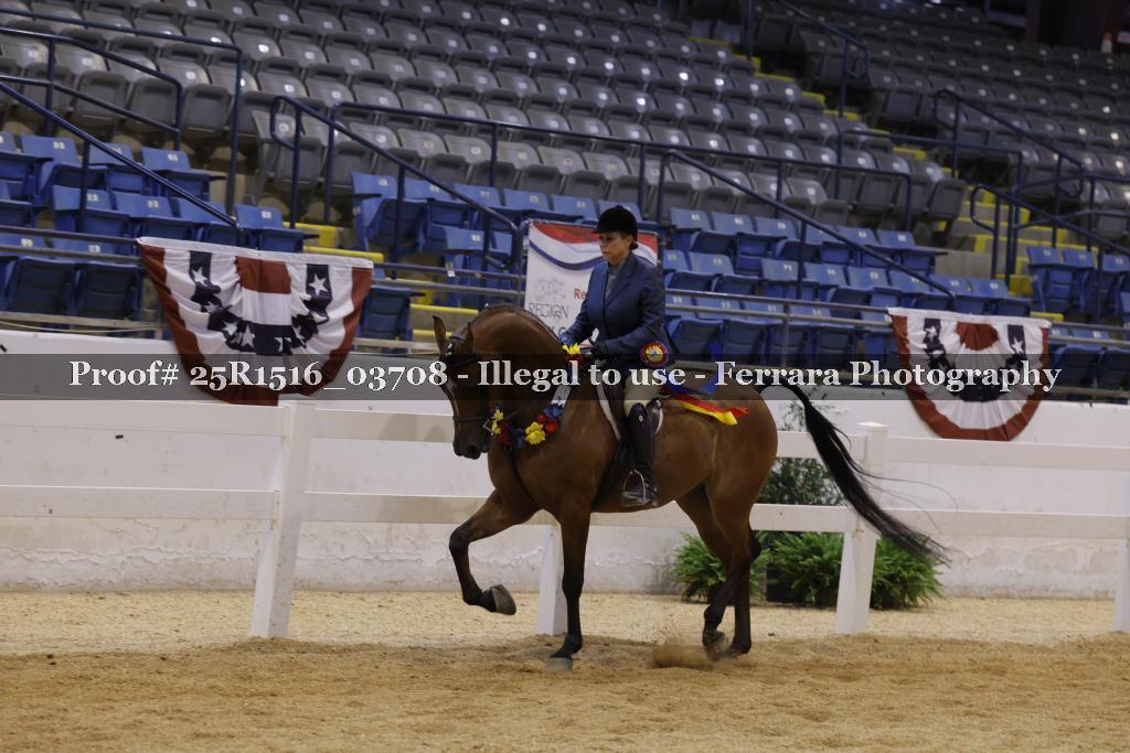 Proof Number 25R1516_03708