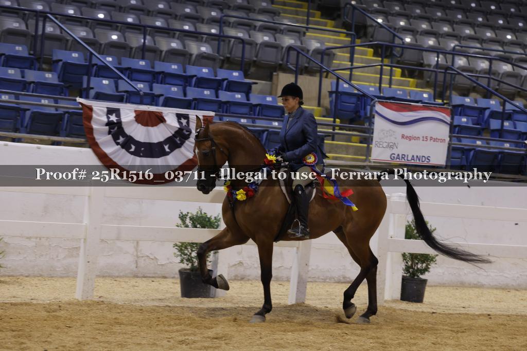 Proof Number 25R1516_03711