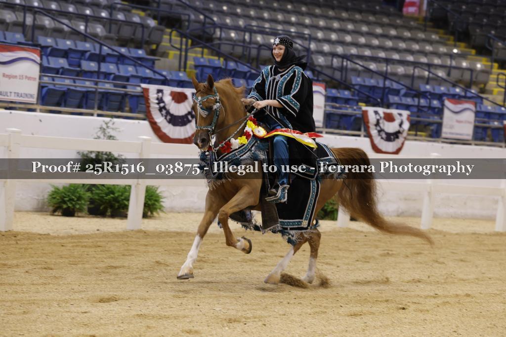 Proof Number 25R1516_03875