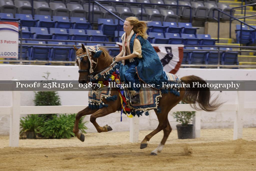 Proof Number 25R1516_03879