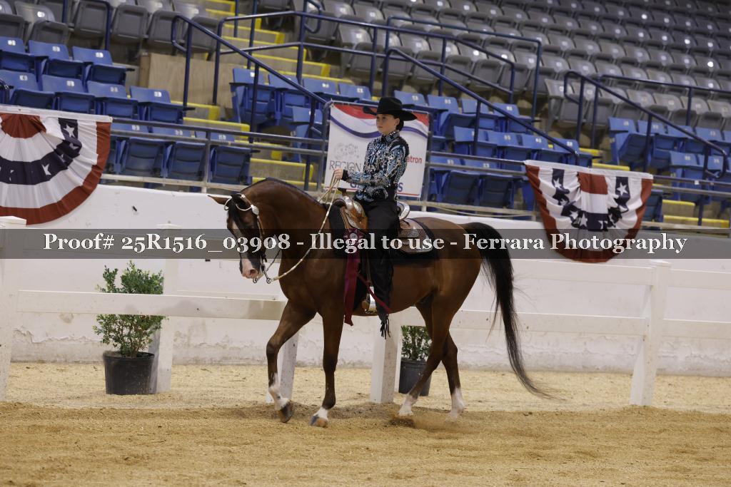 Proof Number 25R1516_03908