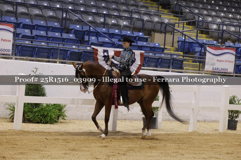 Proof Number 25R1516_03909